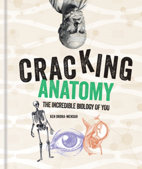 Cracking Anatomy, Hardback Book