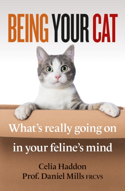 Being Your Cat : What's really going on in your feline's mind, EPUB eBook
