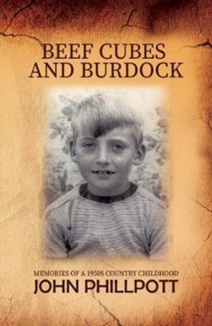 Beef Cubes And Burdock, Hardback Book