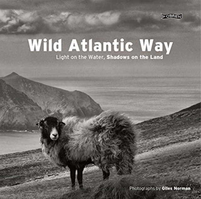 Wild Atlantic Way : Light on the water, shadows on the land, Hardback Book