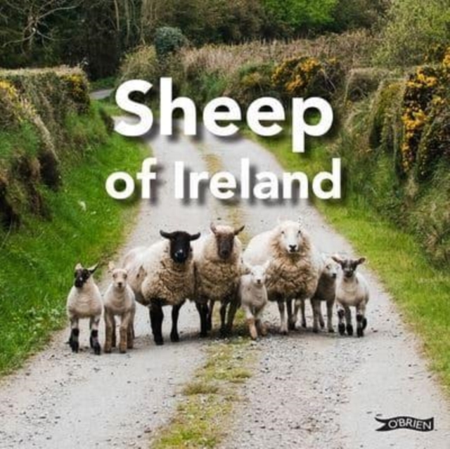 Sheep of Ireland, Hardback Book