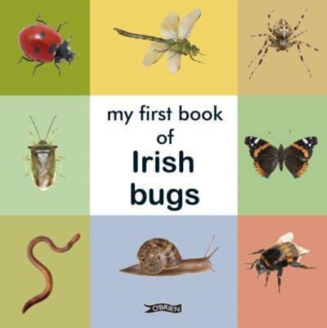 My First Book of Irish Bugs, Board book Book