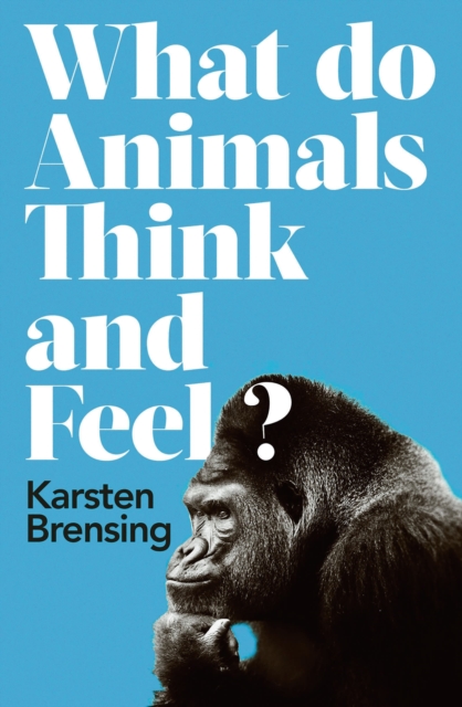 What Do Animals Think and Feel?, Hardback Book