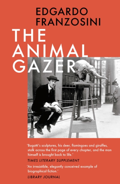 The Animal Gazer, Paperback / softback Book