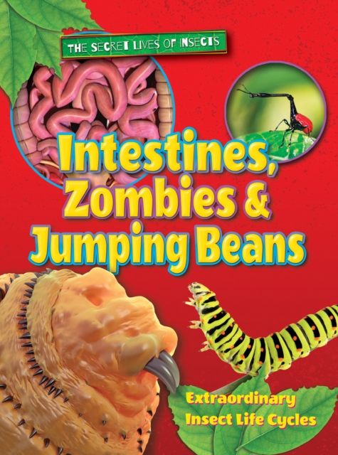 Intestines, Zombies and Jumping Beans, Paperback / softback Book