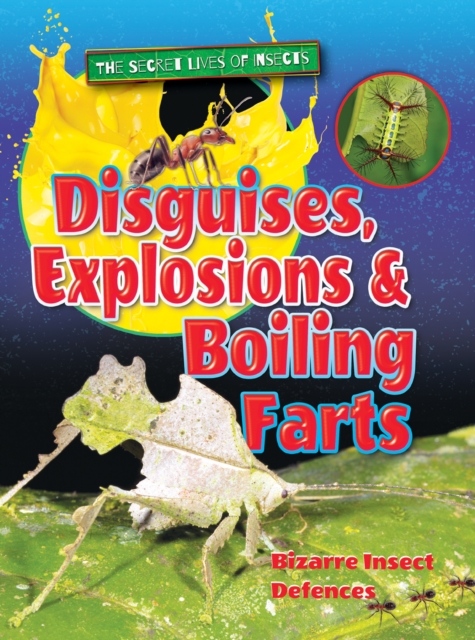 Disguises, Explosions and Boiling Farts, Paperback / softback Book