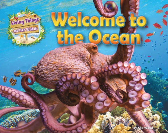 Welcome to the Ocean, Paperback / softback Book