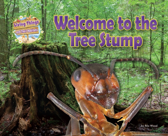 Welcome to the Tree Stump, Paperback / softback Book