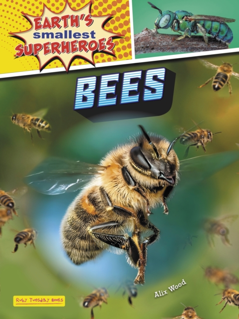 Bees, Paperback / softback Book