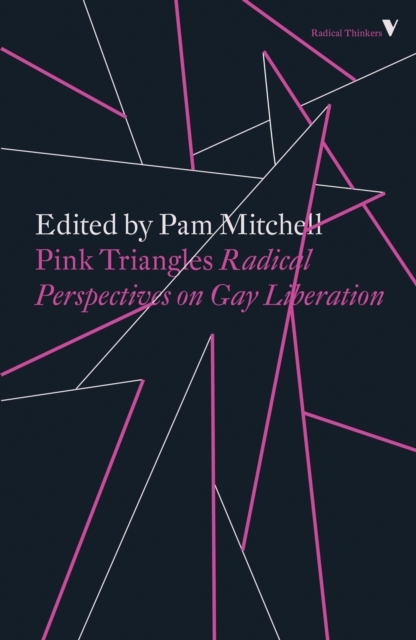 Pink Triangles, EPUB eBook