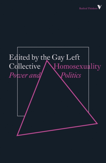 Homosexuality : Power and Politics, Paperback / softback Book