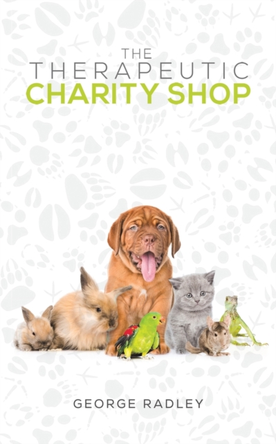 The Therapeutic Charity Shop, Paperback / softback Book