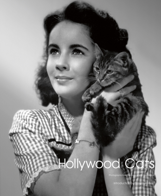 Hollywood Cats : Photographs From the John Kobal Foundation, Hardback Book