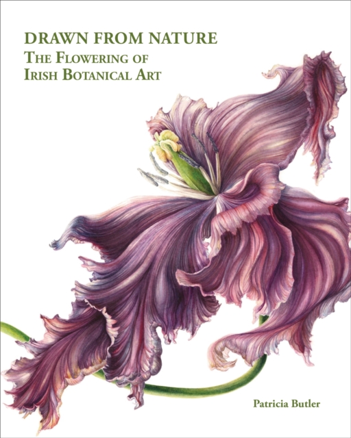 Drawn From Nature : The Flowering of Irish Botanical Art, Hardback Book