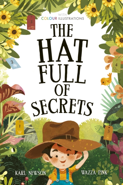 The Hat Full of Secrets, Hardback Book