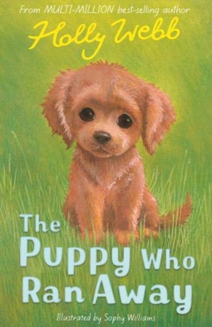 The Puppy Who Ran Away, Paperback / softback Book