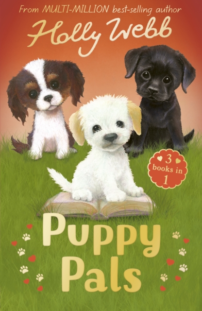 Puppy Pals : The Story Puppy, The Seaside Puppy, Monty the Sad Puppy, Paperback / softback Book