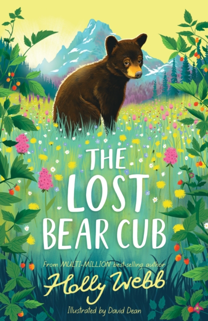 The Lost Bear Cub, Paperback / softback Book