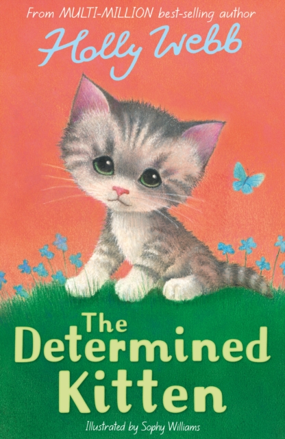 The Determined Kitten, Paperback / softback Book