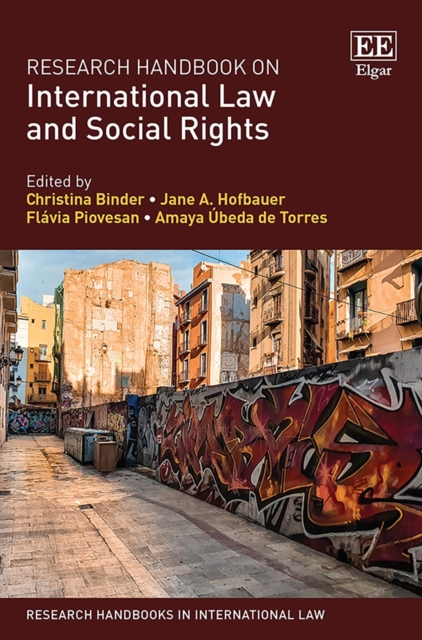 Research Handbook on International Law and Social Rights, PDF eBook
