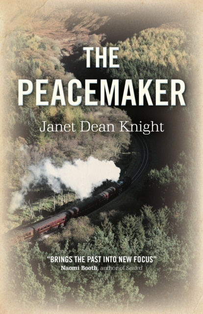 Peacemaker, The, Paperback / softback Book