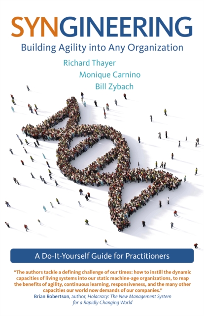 Syngineering: Building Agility into Any Organization : A Do-It-Yourself Guide for Practitioners, Paperback / softback Book