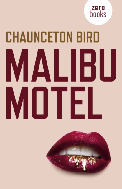 Malibu Motel : A novel about the colossal cost of free cash, Paperback / softback Book