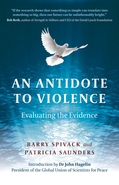 Antidote to Violence, An : Evaluating the evidence, Paperback / softback Book