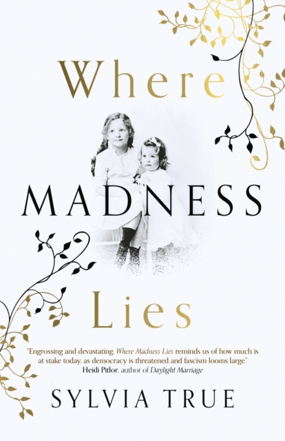 Where Madness Lies : A Novel, Paperback / softback Book