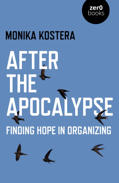 After The Apocalypse : Finding Hope in Organizing, EPUB eBook