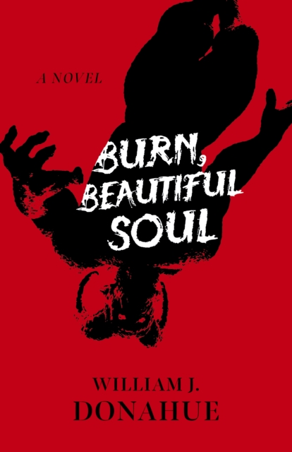 Burn, Beautiful Soul : A Novel, Paperback / softback Book