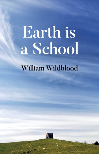 Earth is a School, Paperback / softback Book