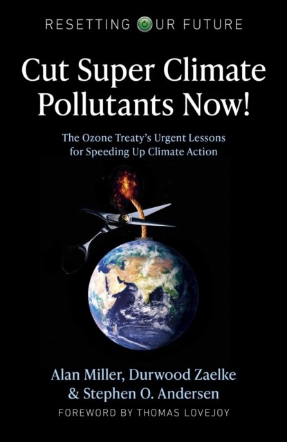 Cut Super Climate Pollutants Now! : The Ozone Treaty's Urgent Lessons for Speeding Up Climate Action, EPUB eBook