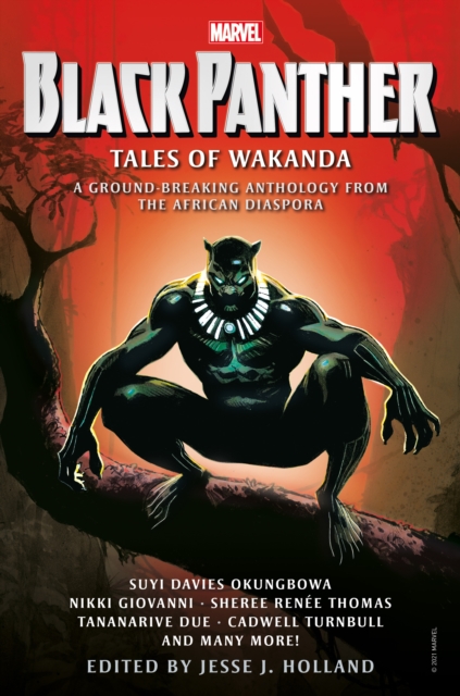 Black Panther: Tales of Wakanda, Paperback / softback Book