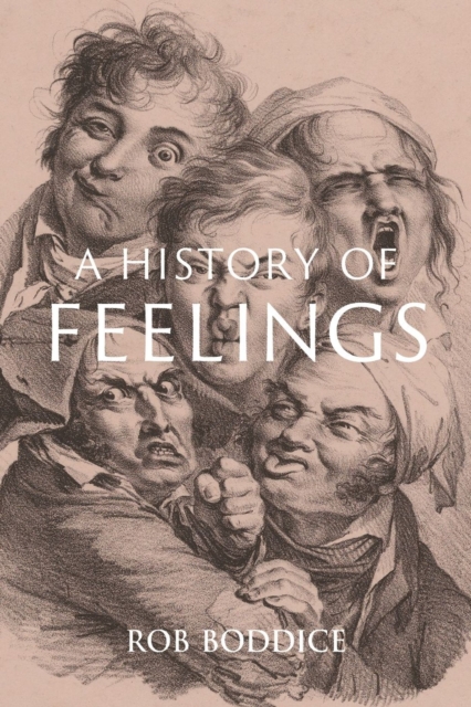 A History of Feelings, Hardback Book
