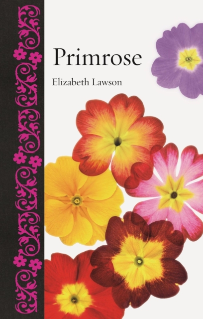 Primrose, Hardback Book
