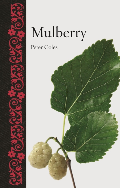 Mulberry, Hardback Book