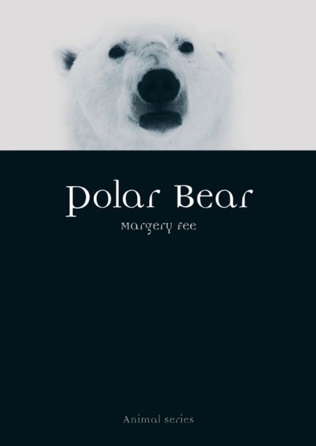Polar Bear, EPUB eBook