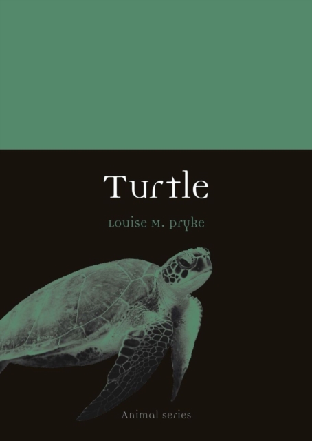 Turtle, Paperback / softback Book