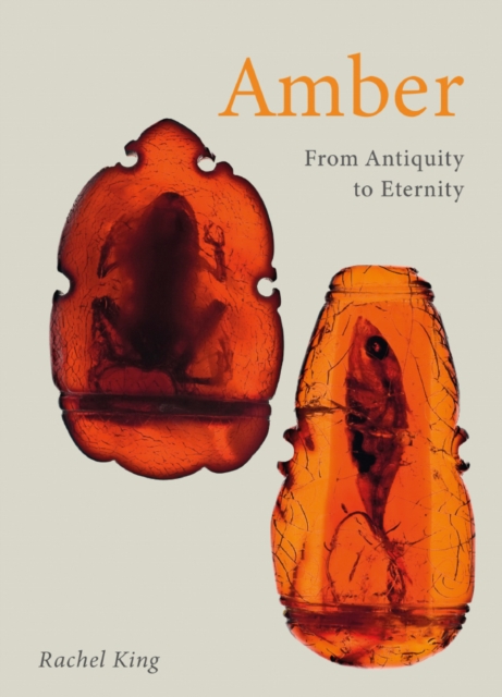 Amber : From Antiquity to Eternity, EPUB eBook