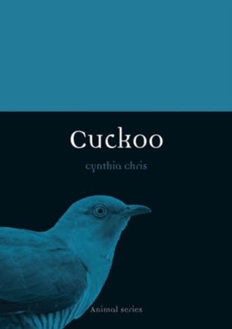 Cuckoo, Paperback / softback Book