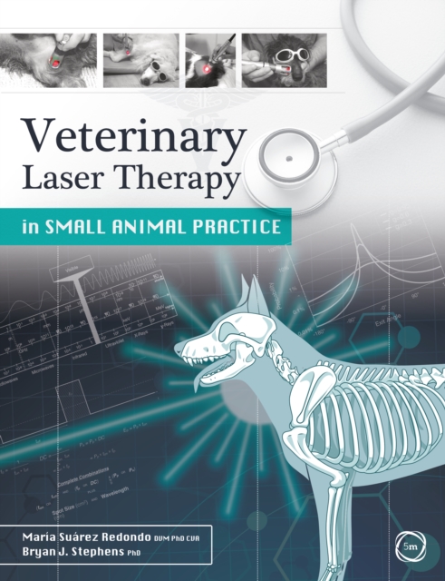 Veterinary Laser Therapy in Small Animal Practice, Paperback / softback Book