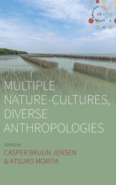 Multiple Nature-Cultures, Diverse Anthropologies, Hardback Book