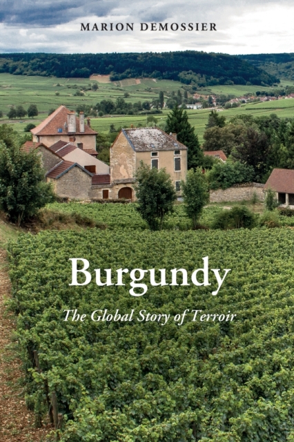 Burgundy : The Global Story of Terroir, Paperback / softback Book