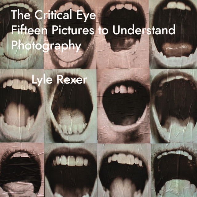 The Critical Eye : Fifteen Pictures to Understand Photography, PDF eBook