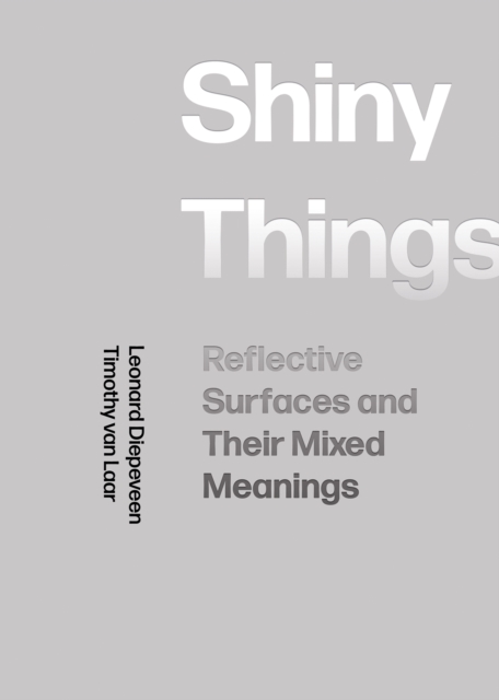 Shiny Things : Reflective Surfaces and Their Mixed Meanings, PDF eBook