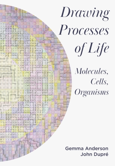 Drawing Processes of Life : Molecules, Cells, Organisms, Hardback Book