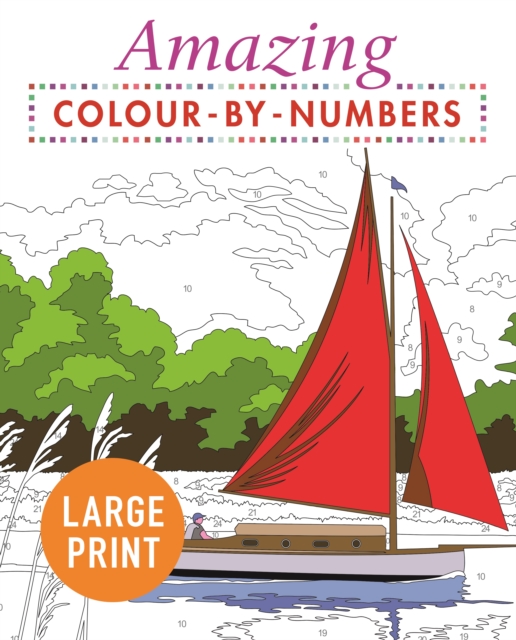 Amazing Colour-by-Numbers Large Print, Paperback / softback Book