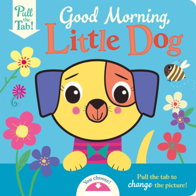 A busy day for Little Dog, Board book Book