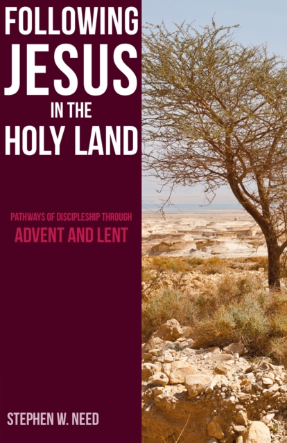 Following Jesus in the Holy Land, EPUB eBook